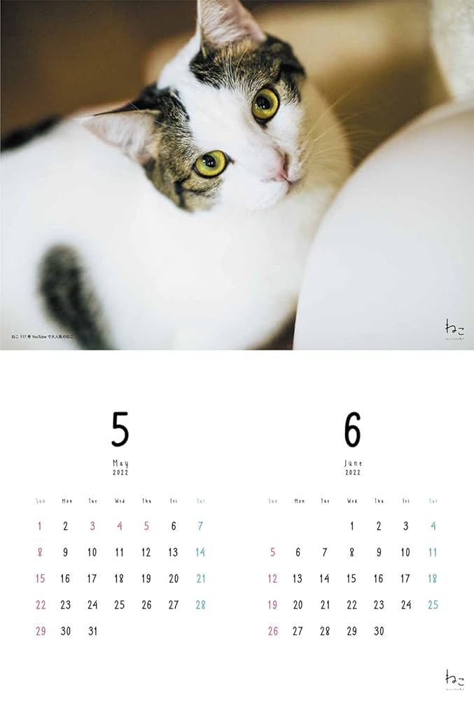 ねこページ ねこに転生したおじさん×WEGOコラボステッカー – WEGO ONLINE STORE